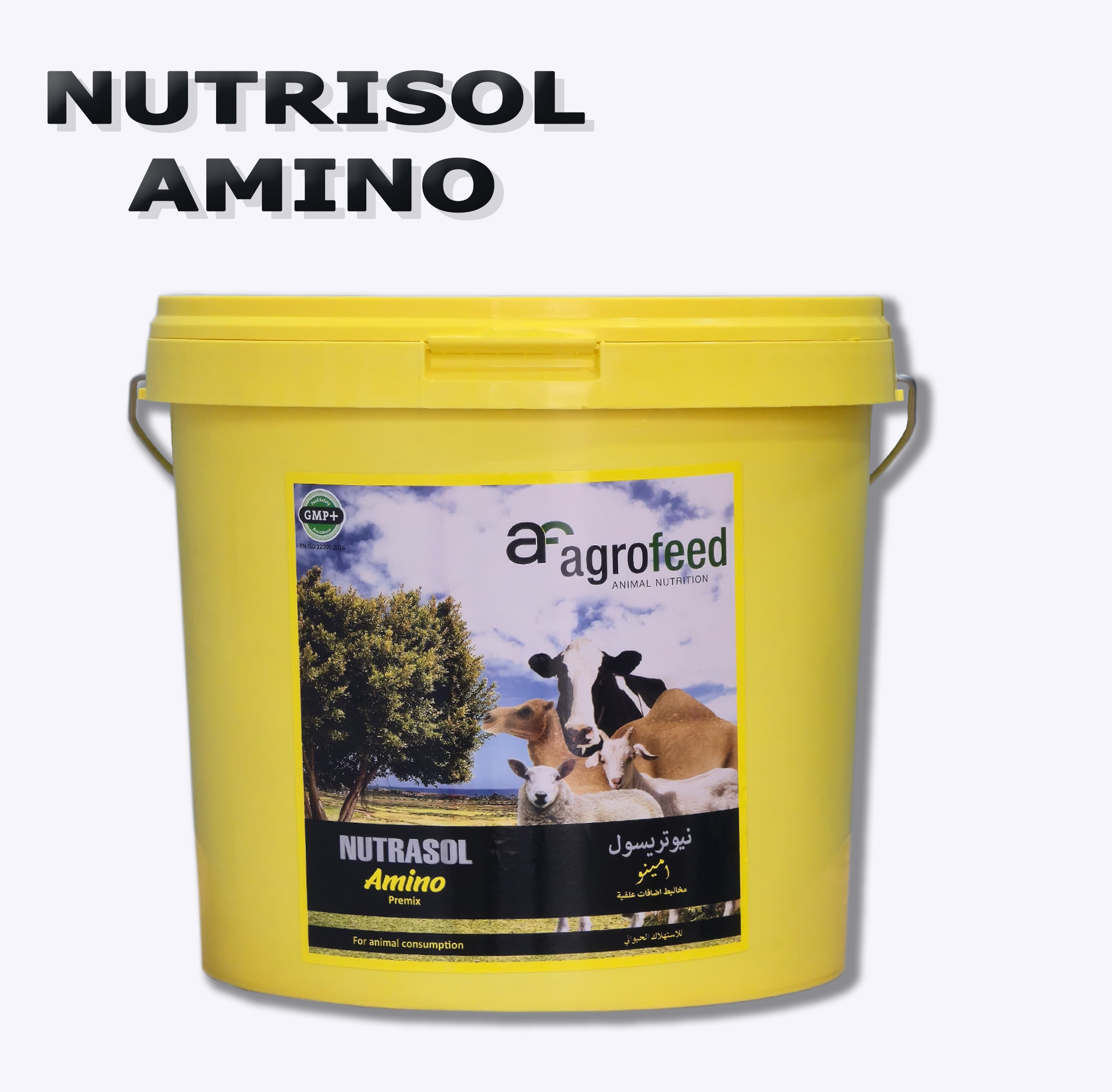 Nutrisol Amino